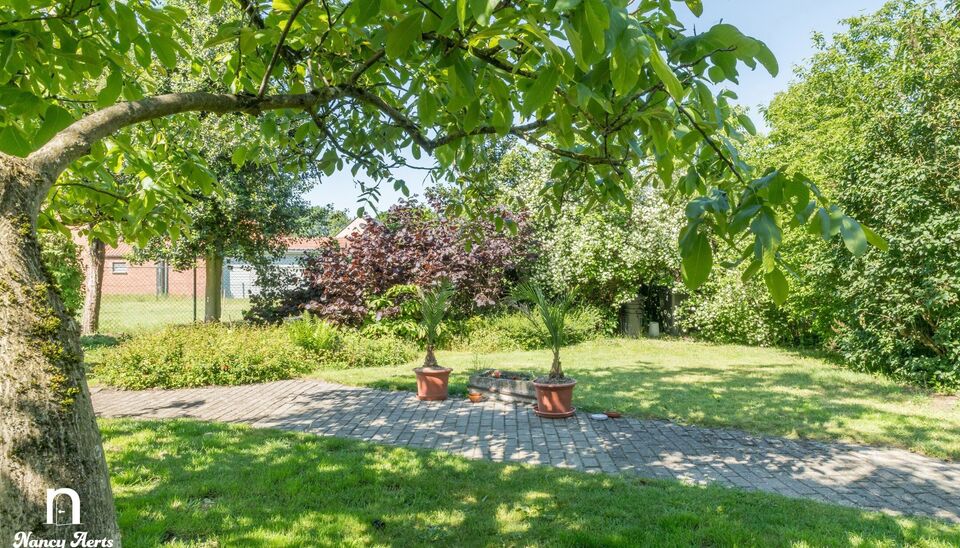 Gebouw voor gemengd gebruik te koop in Beringen Koersel