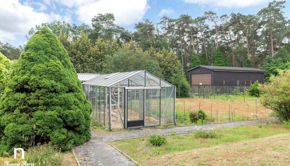 Huis te koop in Beringen Koersel