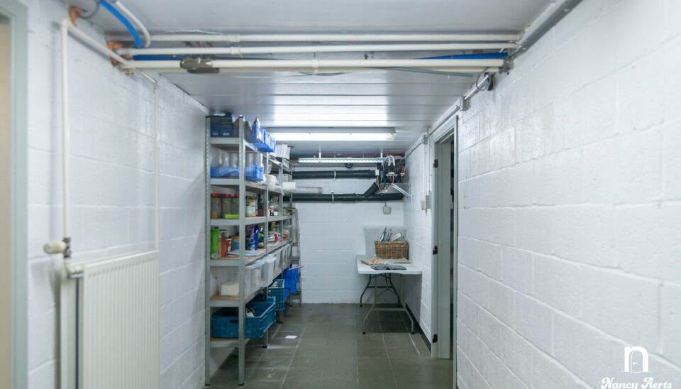 Individuele handelszaak te koop in Beringen