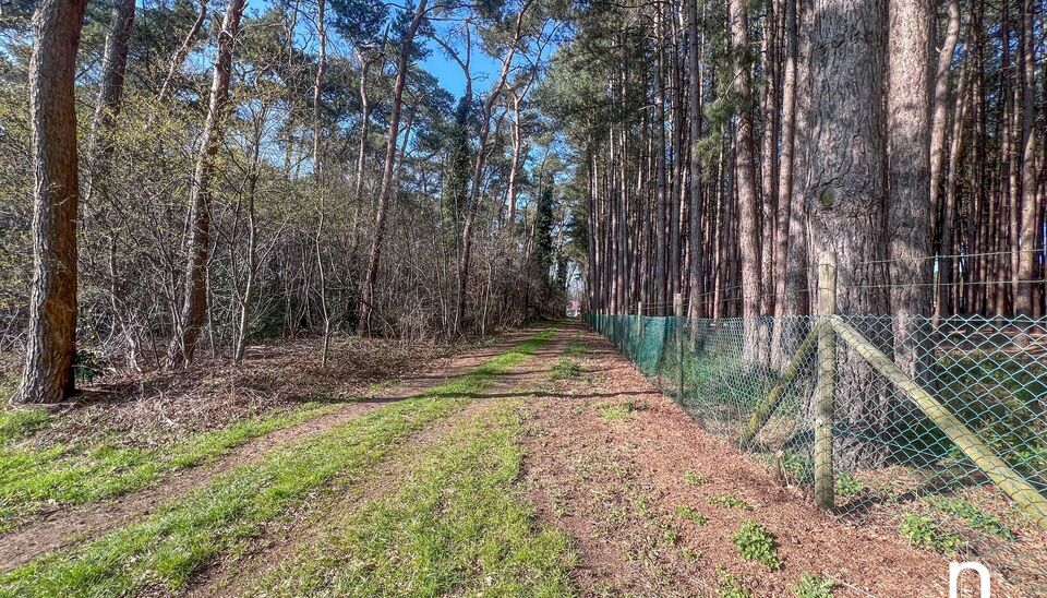 Villa te koop in Beringen Koersel