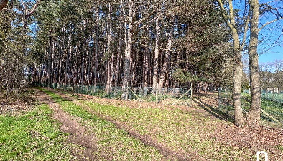 Villa te koop in Beringen Koersel